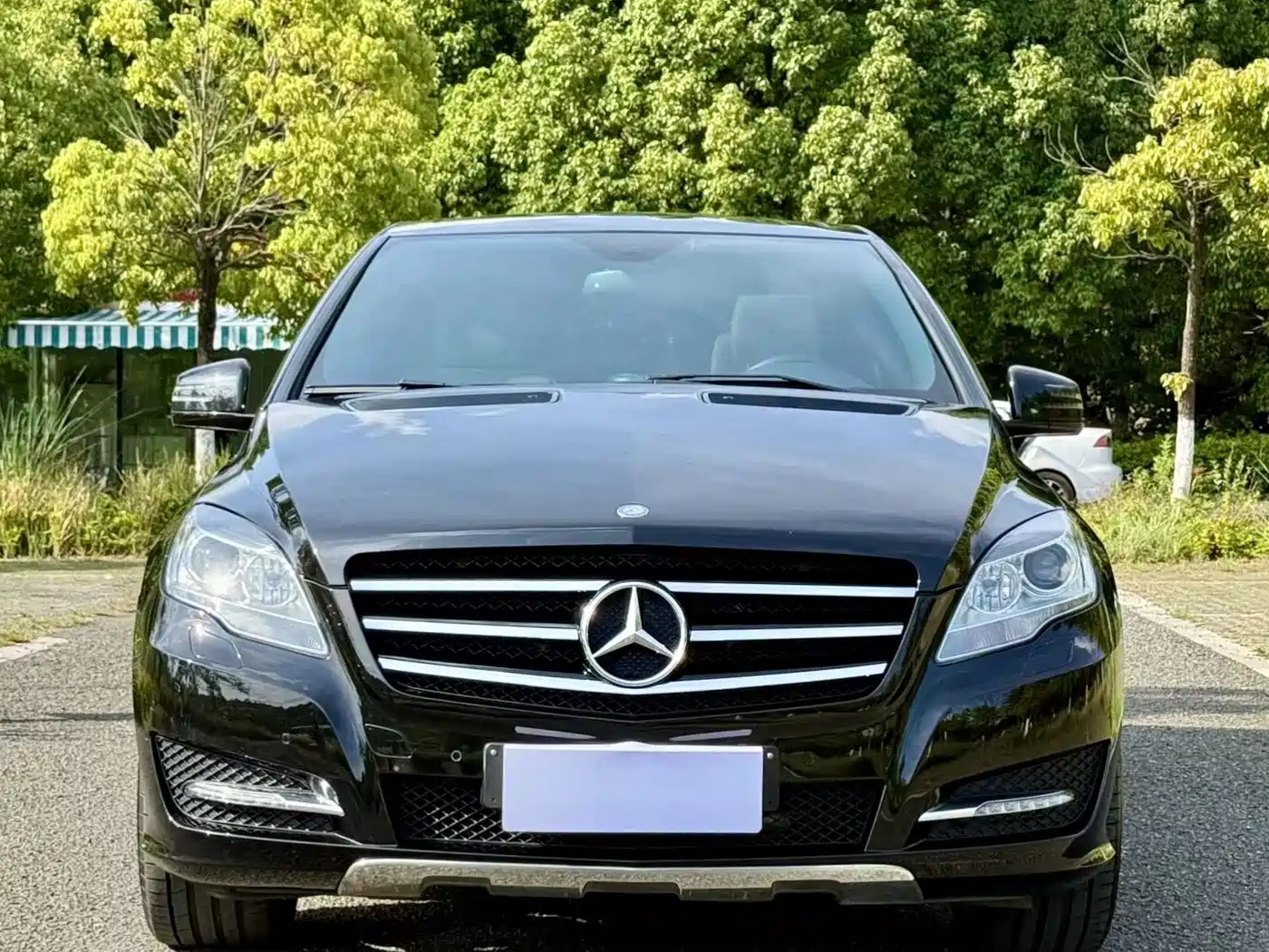 Mercedes-Benz R-Class 2014 R 320 4MATIC Luxury фото 2