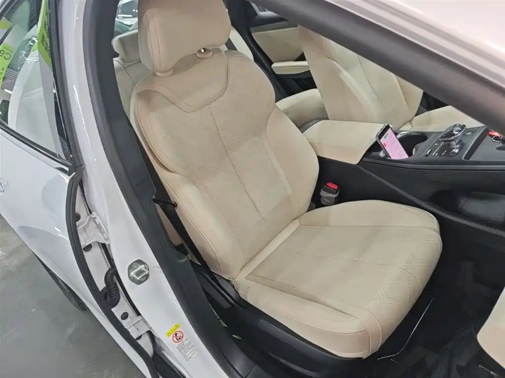 BYD Qin PLUS 2025 EV Smart Drive Edition 510KM Leading Type фото 25