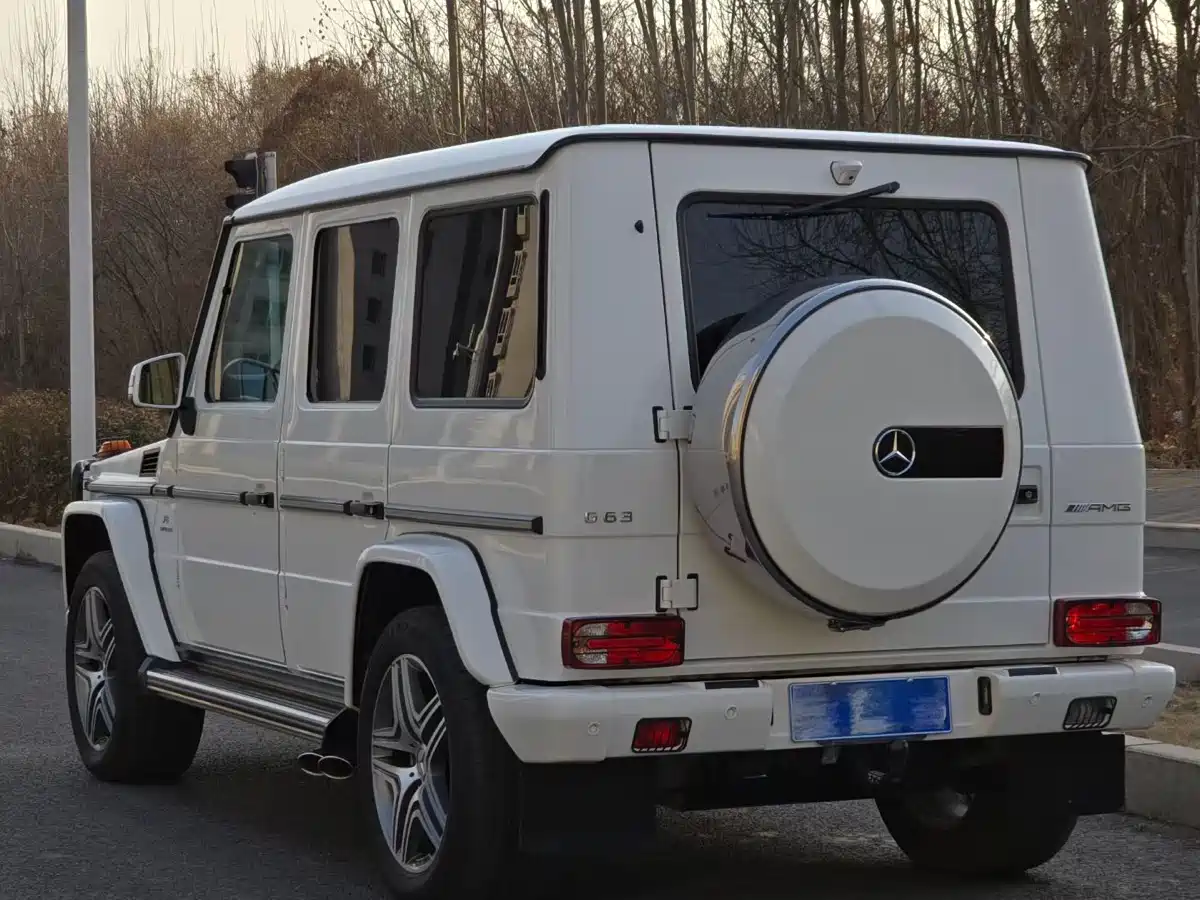 Mercedes-Benz G-Class AMG 2013 AMG G 63 фото 10
