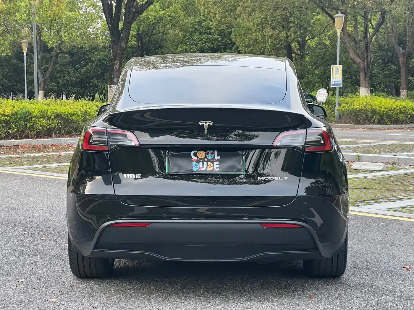 TESLA MODEL Y