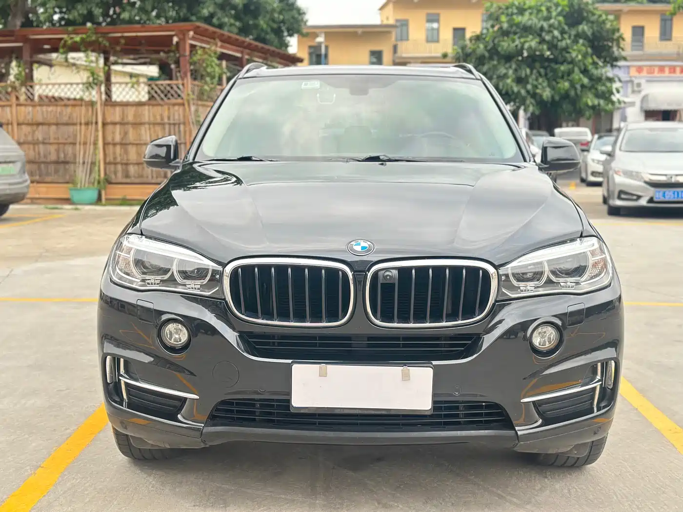 BMW X5 (Import) 2014 xDrive35i Leading фото 2