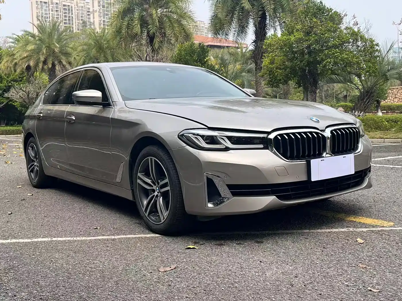 BMW 5 Series 2021 530Li Leading Luxury Package фото 3