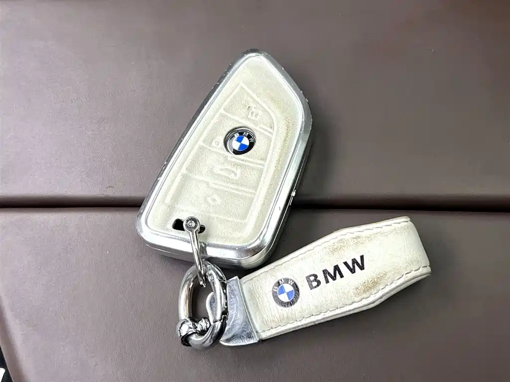 BMW 5 SERIES NEW ENERGY