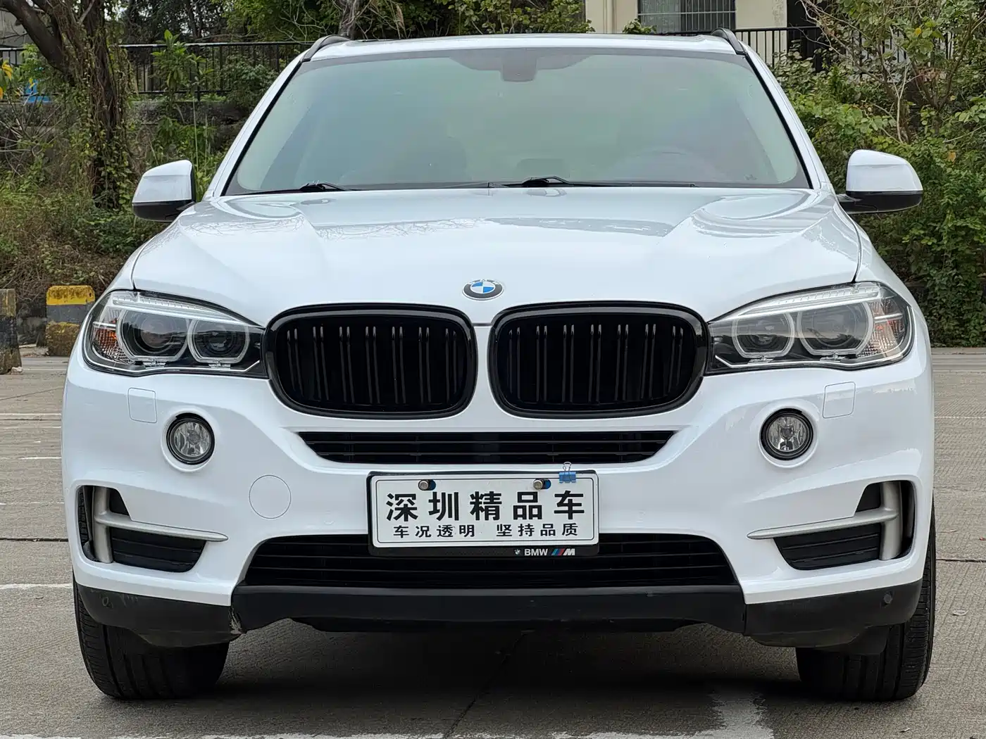 BMW X5 (Import) 2014 xDrive35i Elegance фото 2