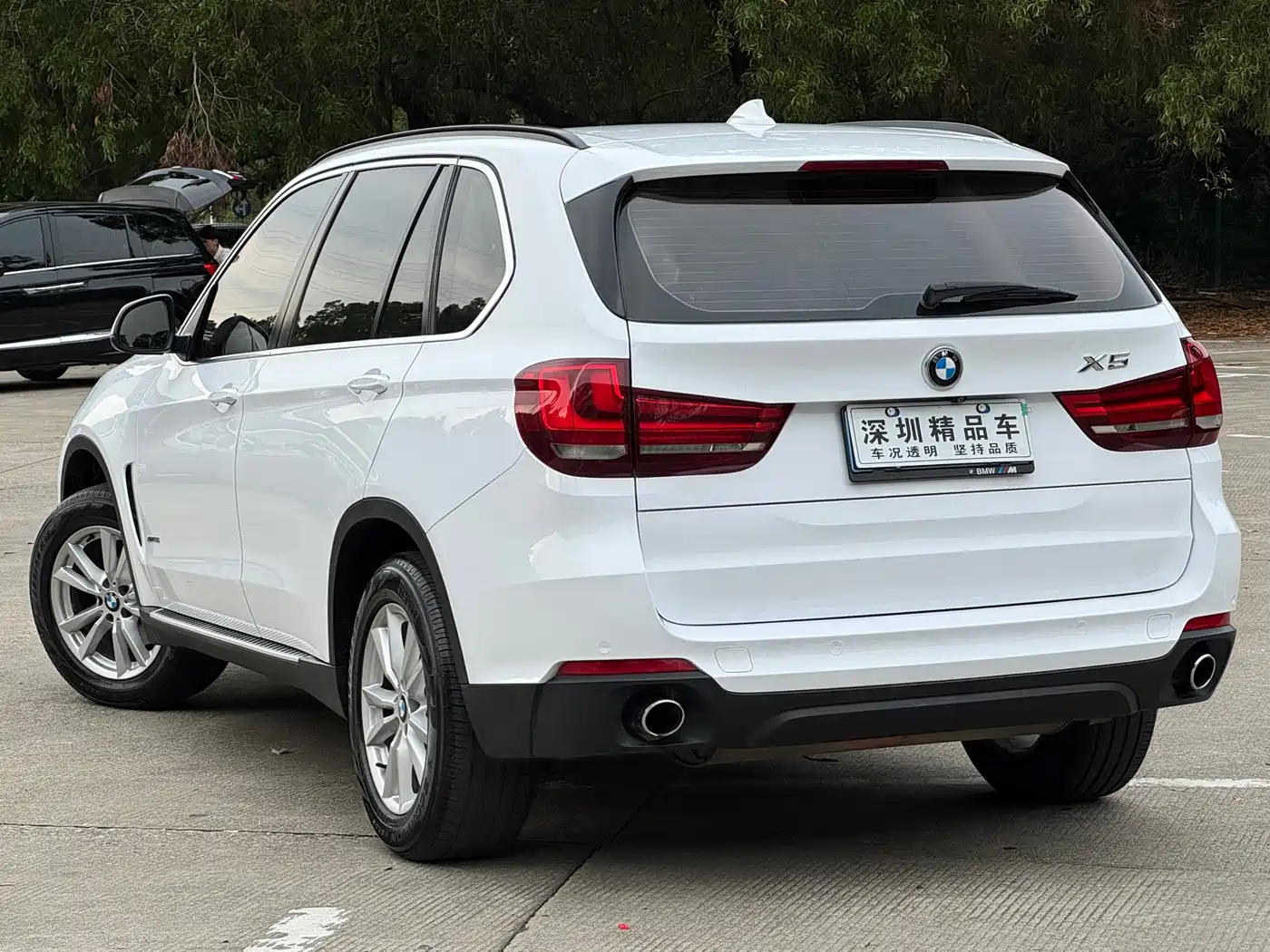 BMW X5 (Import) 2014 xDrive35i Elegance фото 3