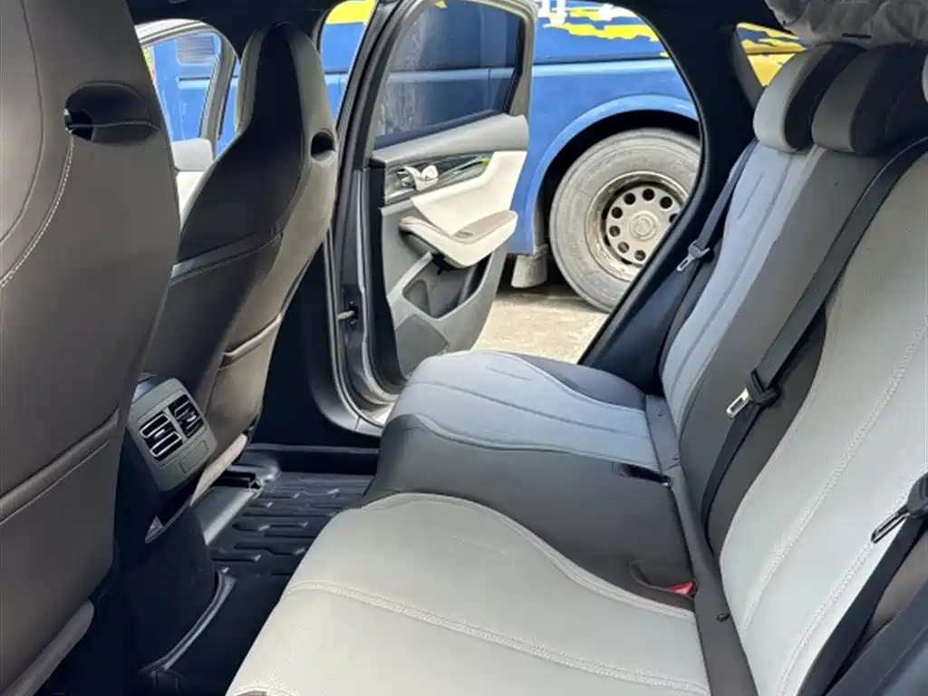 BYD Qin PLUS 2024 Glory Edition DM-i 55KM Leading фото 10