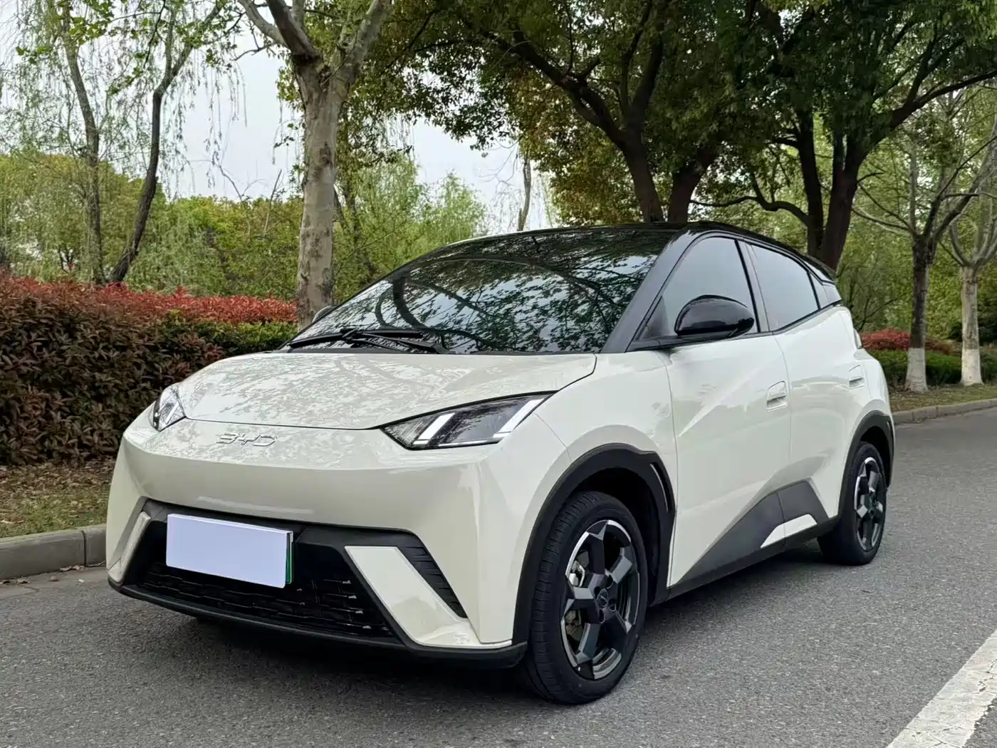 BYD Seagull 2024 Glory Edition 305km Freedom Edition