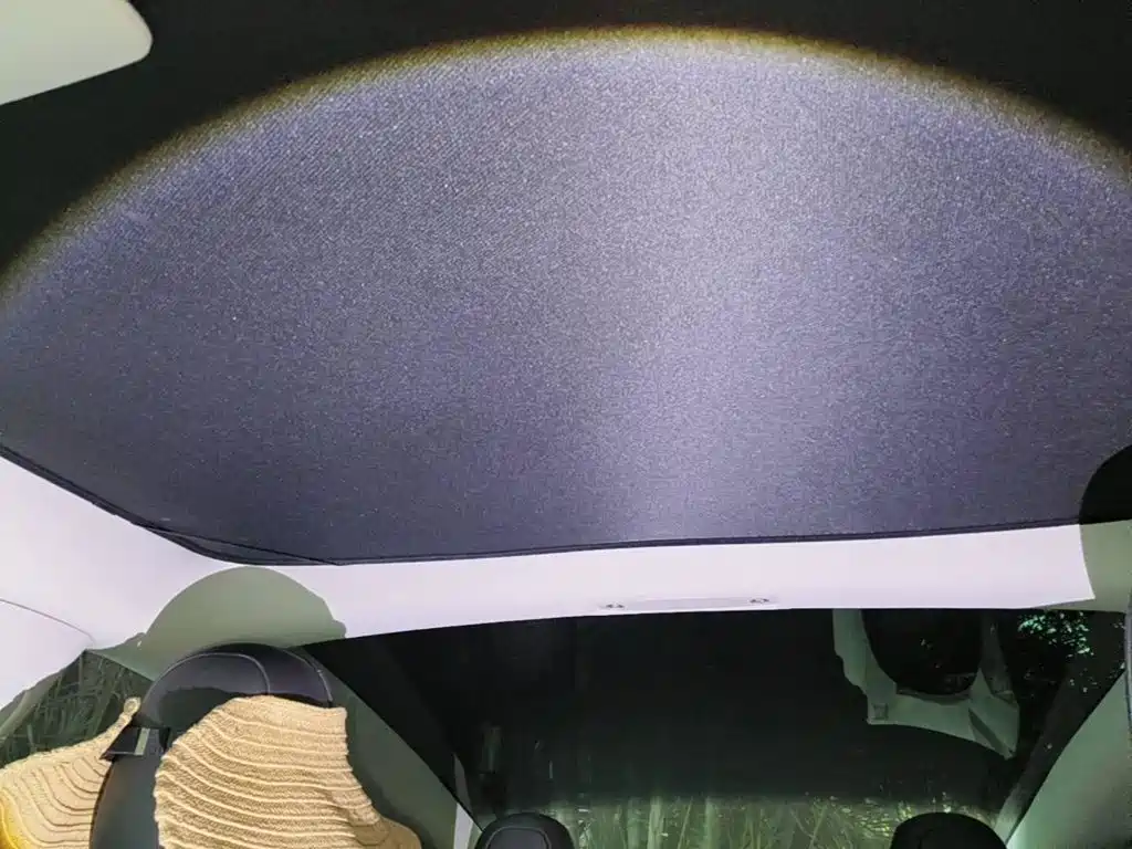 Tesla Model 3 2020 2020 Standard Range Rear-Wheel Drive Upgrade