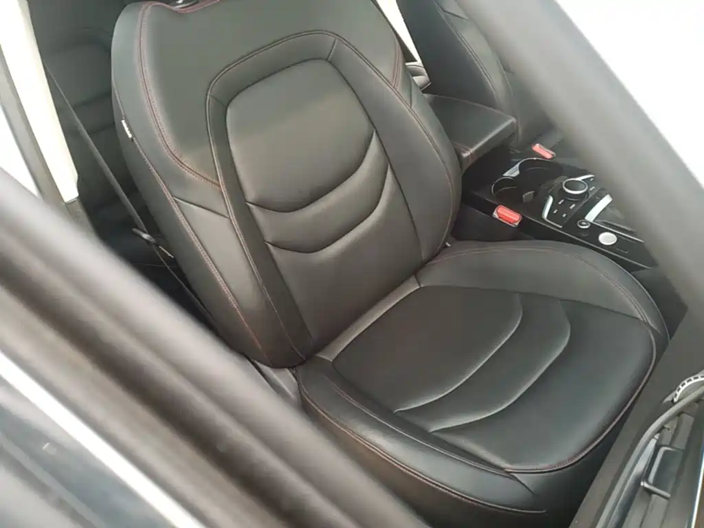 Borgward BX5 2019 2017 Model 20TGDI Automatic 2WD Vanguard Type