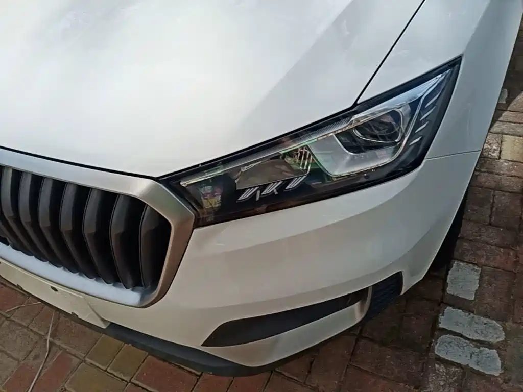 Borgward BX5 2019 2017 Model 20TGDI Automatic 2WD Vanguard Type