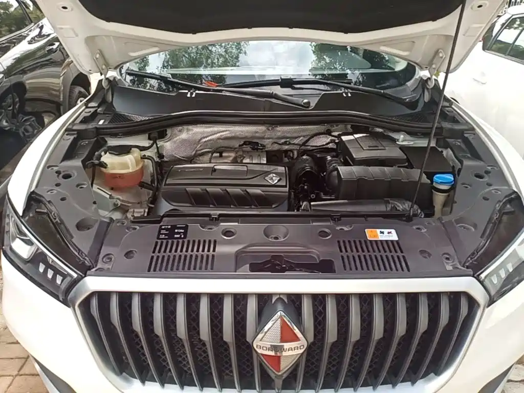 Borgward BX5 2019 2017 Model 20TGDI Automatic 2WD Vanguard Type