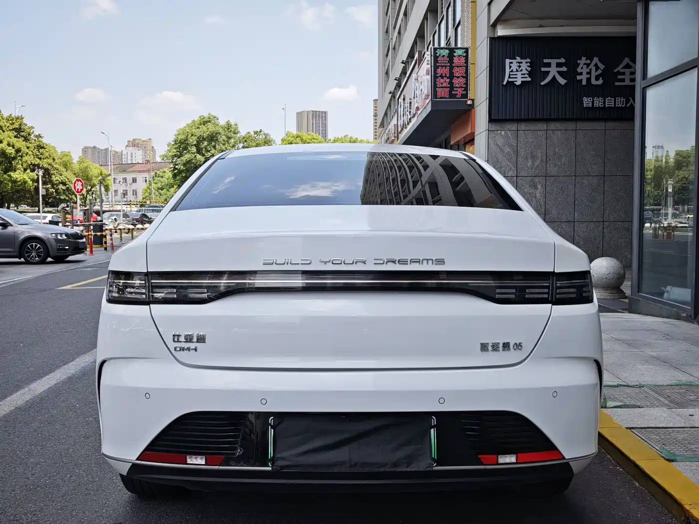 BYD Destroyer 05 2023 Champion Edition DM-i 55KM Luxury фото 8