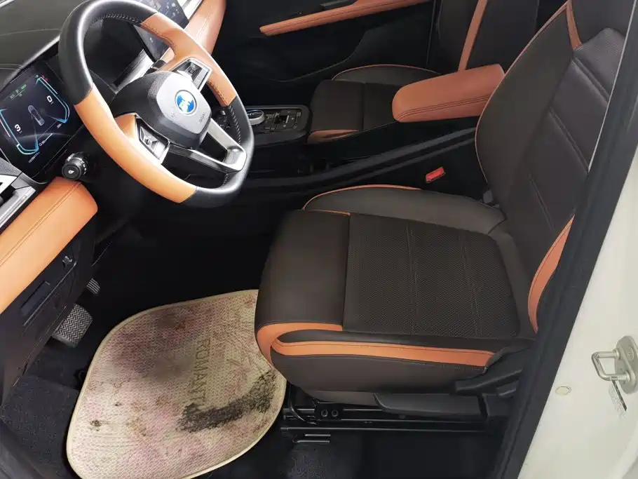 BYD e2 2021 2021 Luxury Edition