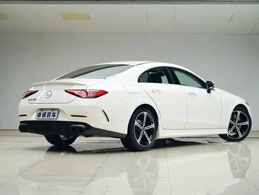 Mercedes-Benz CLS 2020 CLS 300 Luxury фото 16