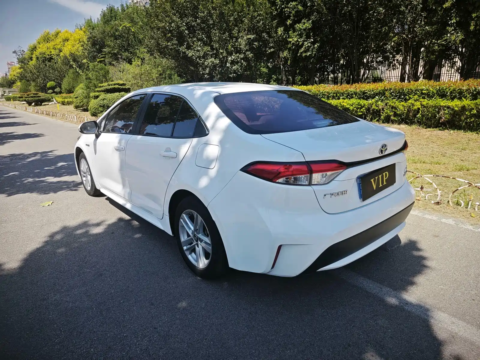 Фото 8 - Toyota Levin