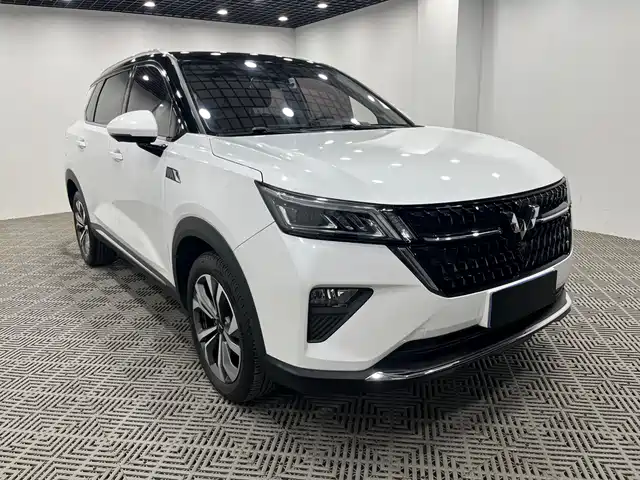 WULING WULING XINGCHEN