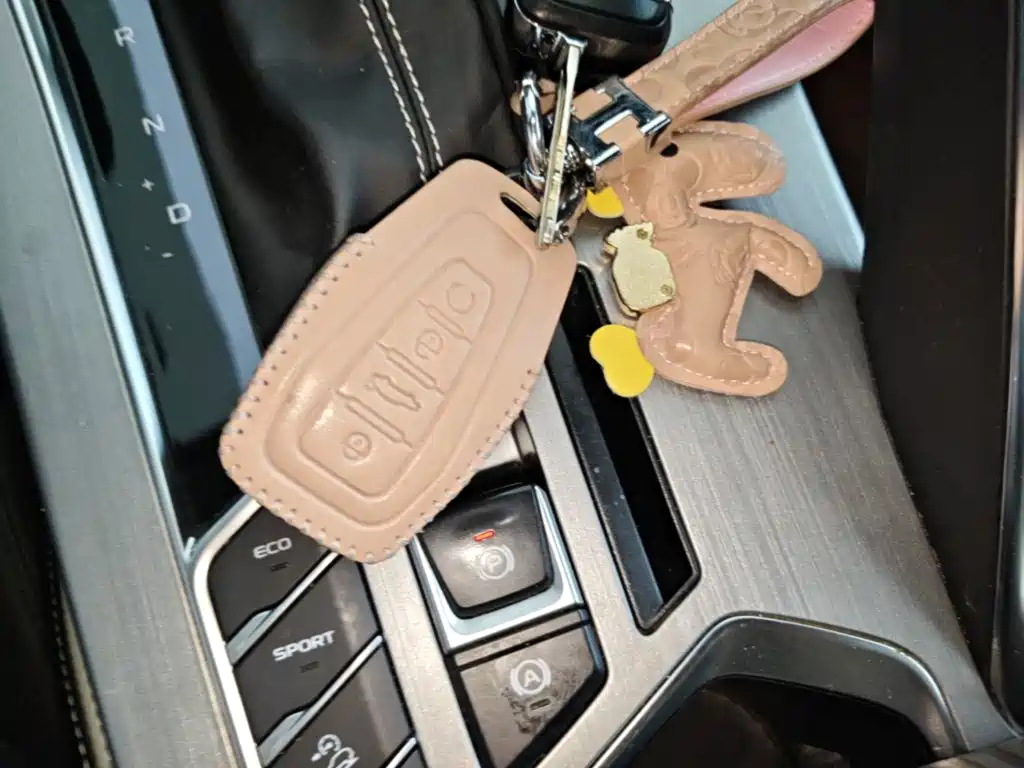 Фото 13 - Geely Coolray