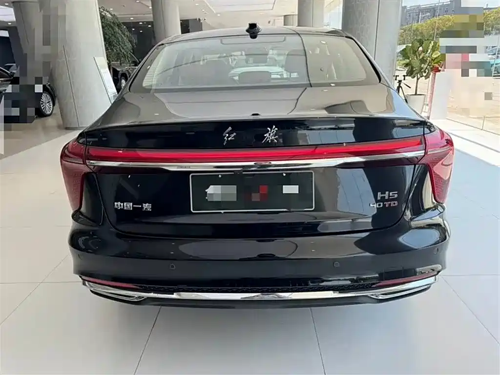 Hongqi H5 2023 2.0T Auto Smart Connect Flag Enjoy фото 11