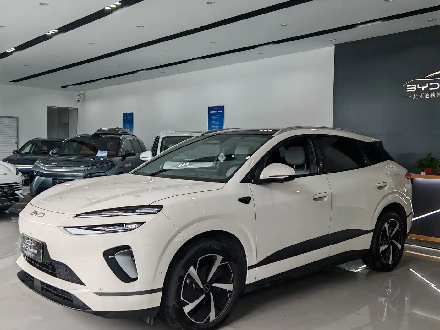 BYD Sealion 06 New Energy 2025 — пригон из Китая