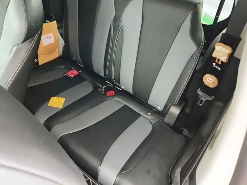 Roewe Clever 2023 2022 311km Vitality Bobo Edition