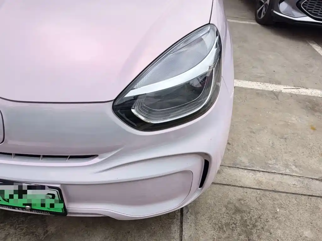 Roewe Clever 2023 2022 311km Vitality Bobo Edition