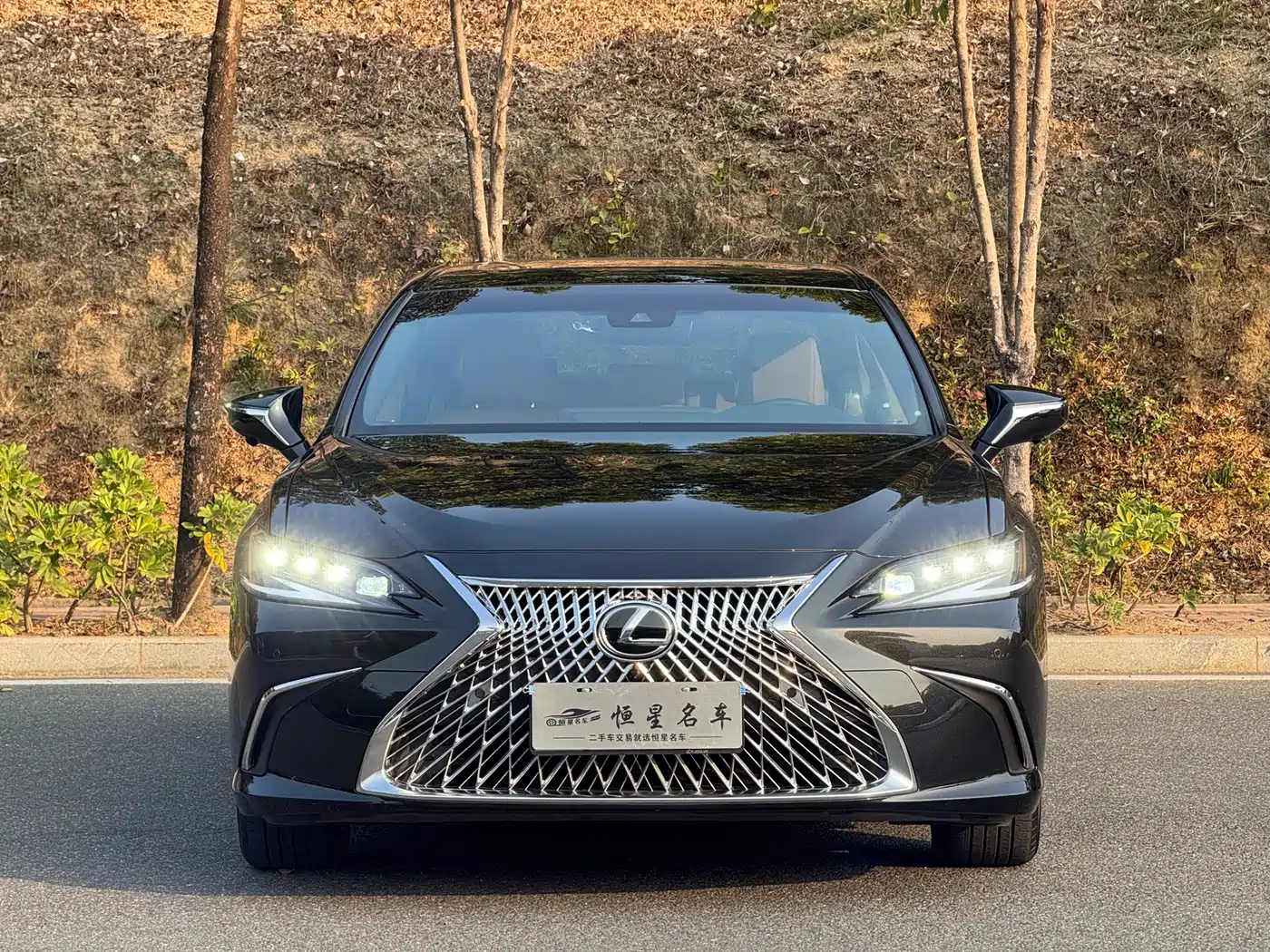 Lexus ES 2023 200 Excellence Edition фото 2