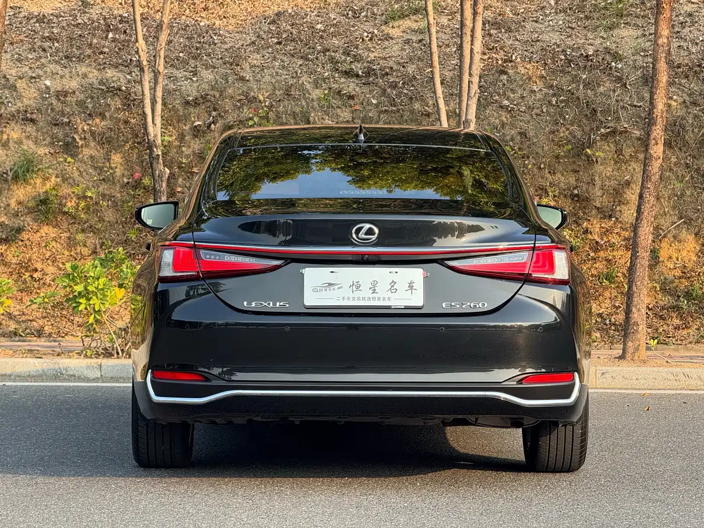 Lexus ES 2023 200 Excellence Edition фото 8
