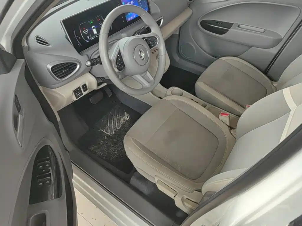 Ora White Cat 2021 2020 305km Luxury