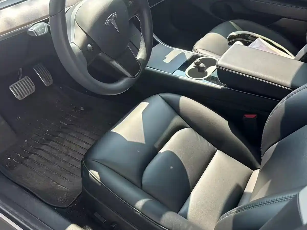 Tesla Model 3 2020 2020 Standard Range Rear-Wheel Drive Upgrade