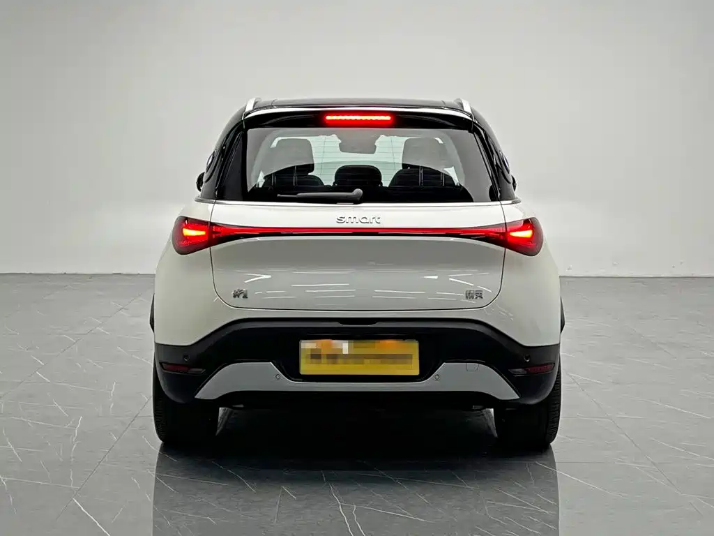 2025 smart Elf #1