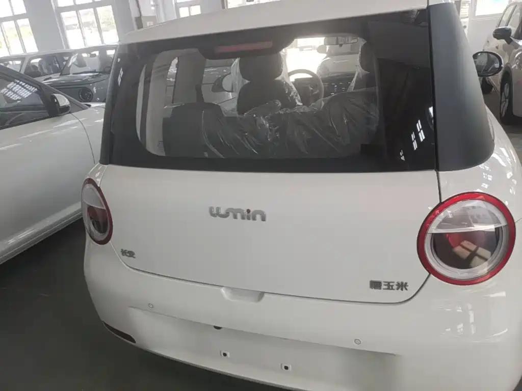 Photo 6 - Changan Lumin