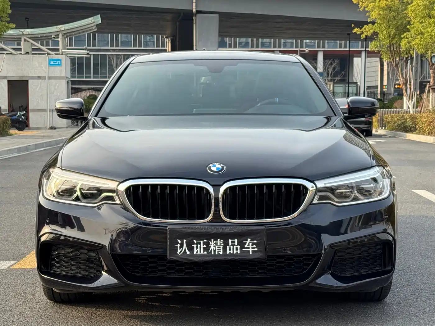 BMW 5 Series 2020 530Li Leading M Sport Package фото 2