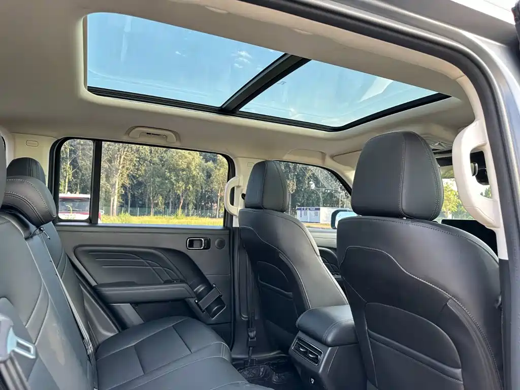 Haval Meng Long NEV 2025 2024 Hi4 102 Pro