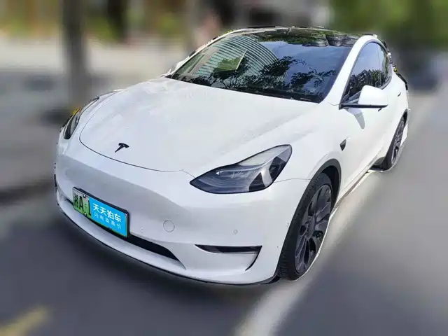 Tesla Model Y 2021 Performance High-Performance AWD — фото 1