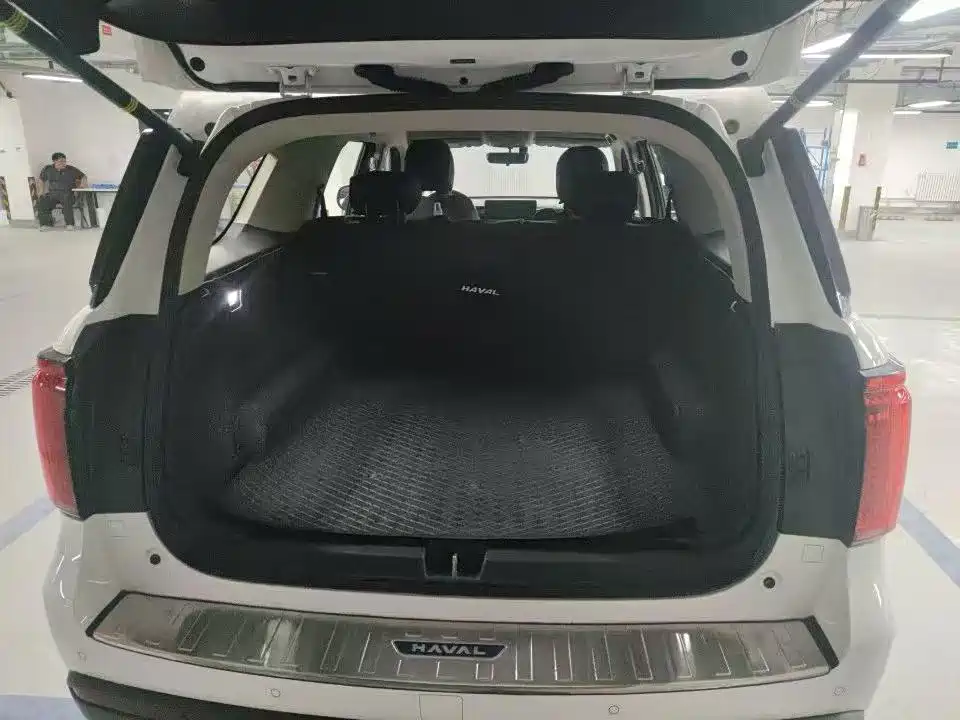 Haval H5 2024 2023 2.0T Manual 4WD Return Custom Edition Diesel