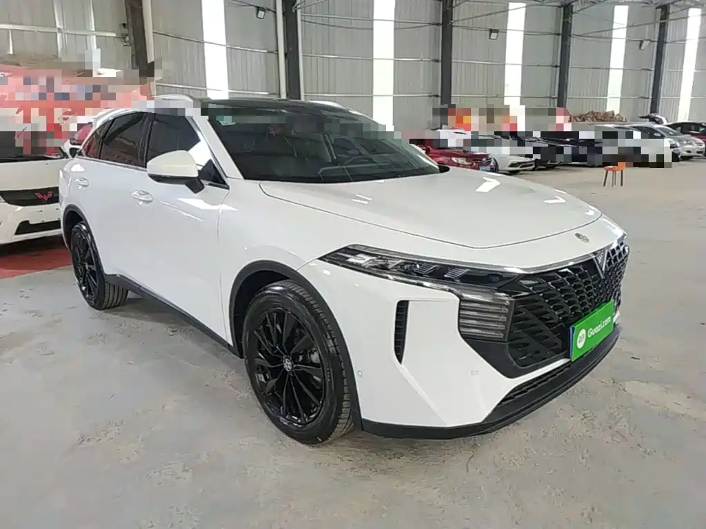 Venucia Big V 2022 2021 260T King Edition