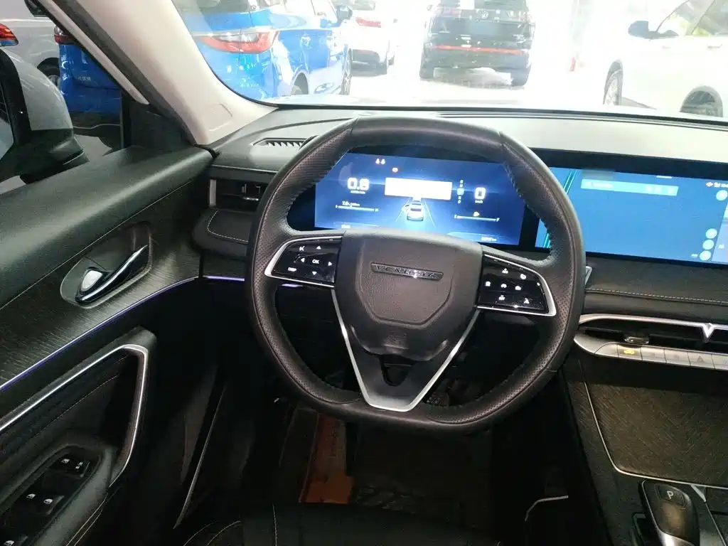 Venucia Big V 2022 2021 260T King Edition