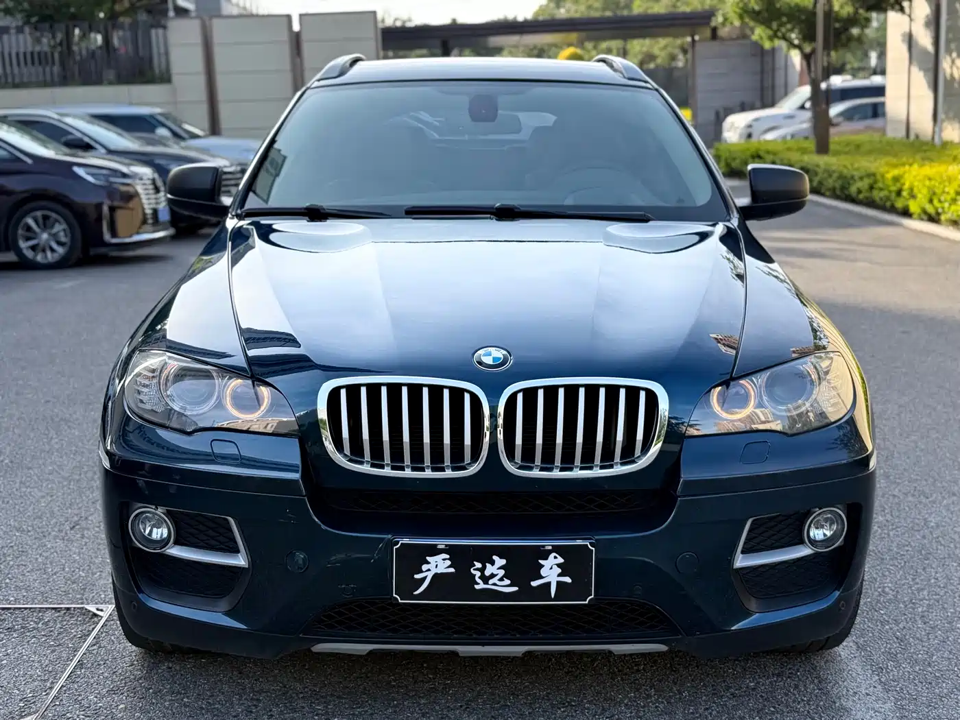 BMW X6 2013 xDrive35i фото 2