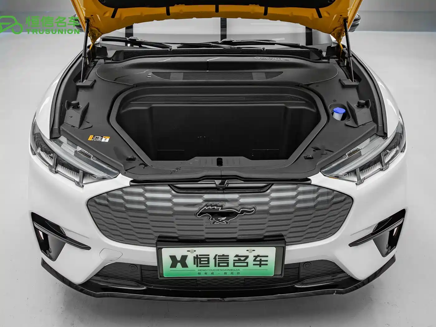 Ford Mustang Mach-E 2024 2024 Swift Edition (Long Range)