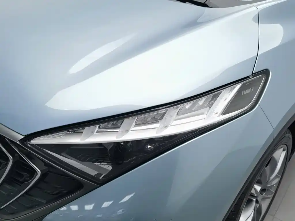 Haima 7X 2021 2020 1.6TGDI Automatic Flagship
