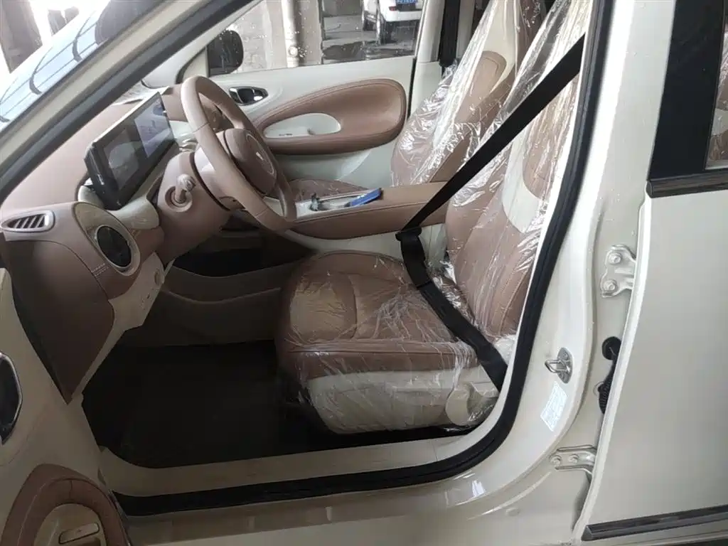 Wuling Motors Wuling Bingo 2026 2025 Model 333km Joy Edition