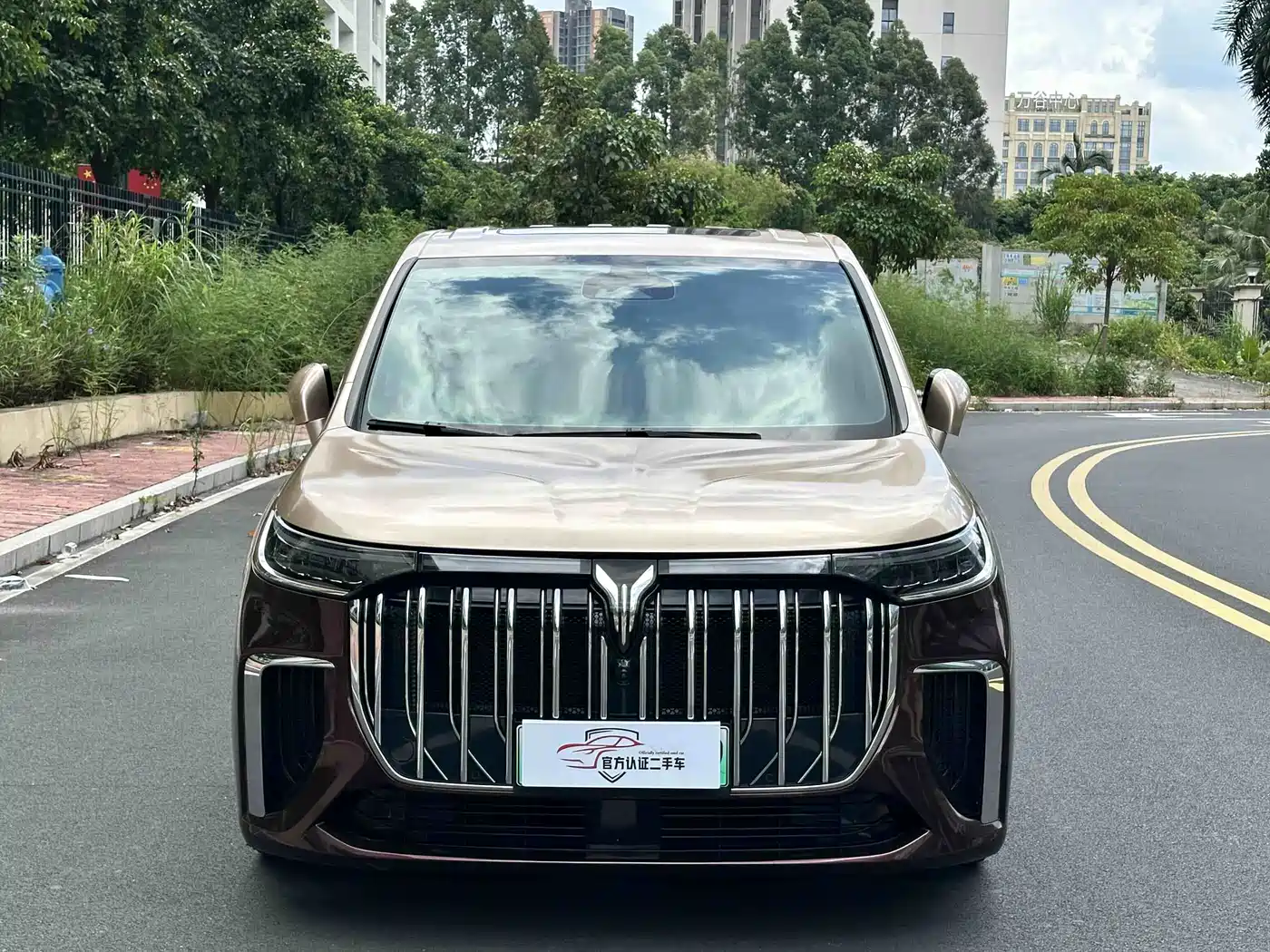 Voyah Dreamer 2022 2022 Low-carbon Dream+Smart Package