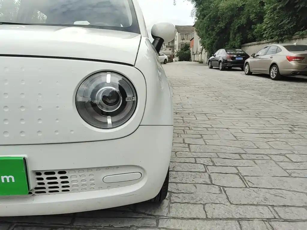 Ora Black Cat 2019 2019 Model 351km Smart Fun Edition