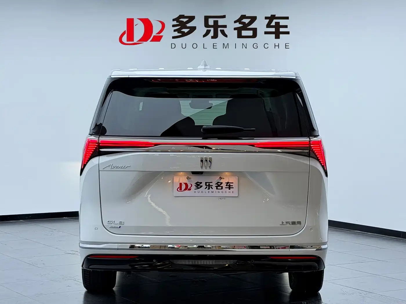 Buick GL8 New Energy 2024 2024 Land Honor Luxury Edition 6-Seater