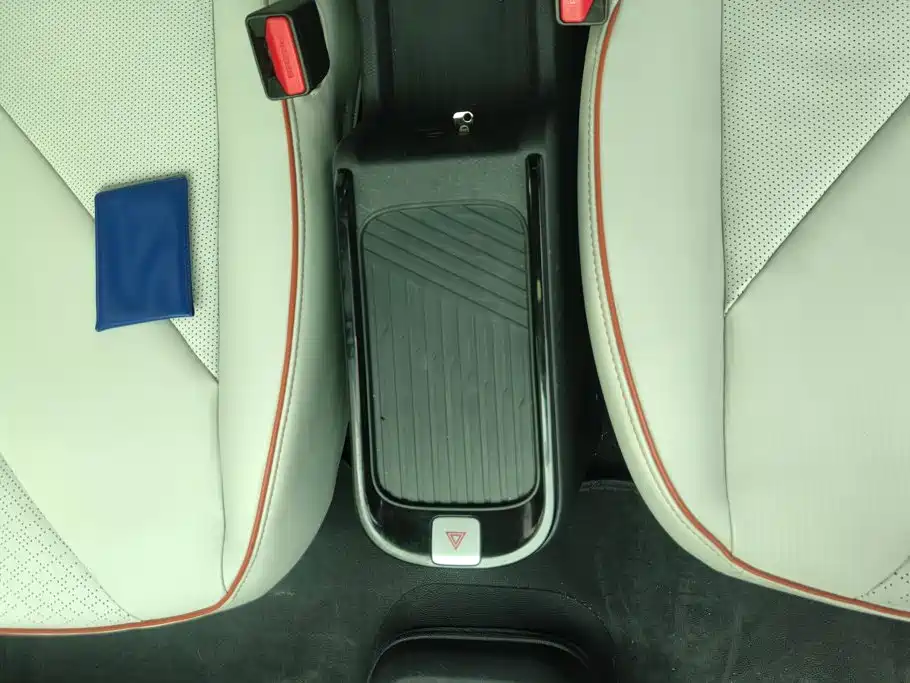 QQ New Energy Little Ant 2024 2024 Facelift 321km Beloved Edition