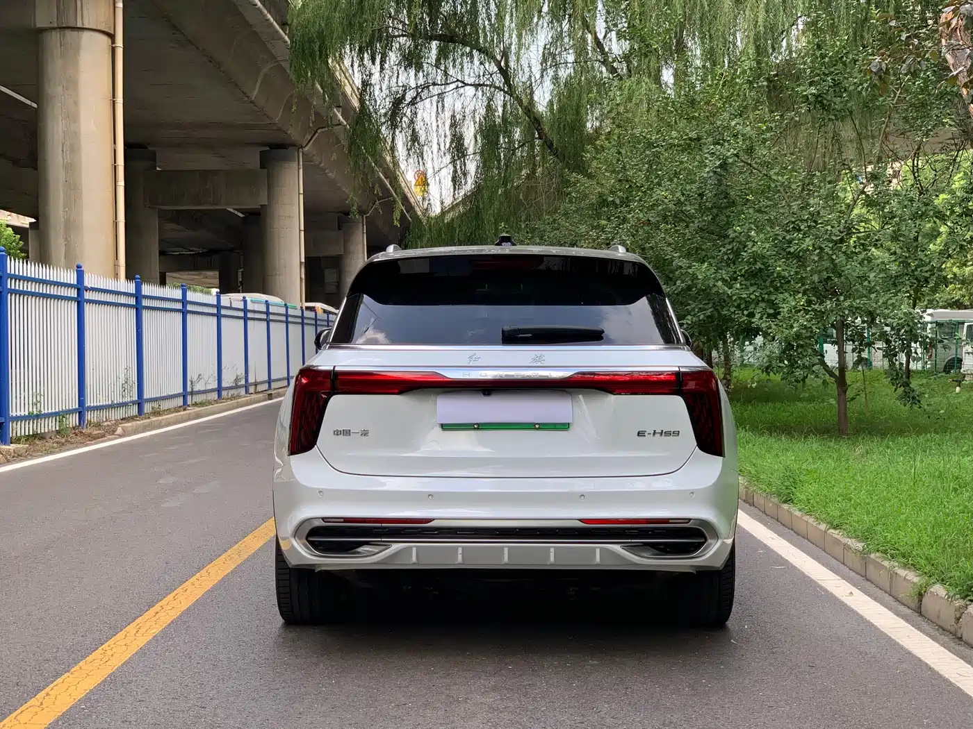 Hongqi E-HS9 2023 2022 690km Qi Xiang Edition (6-seater)