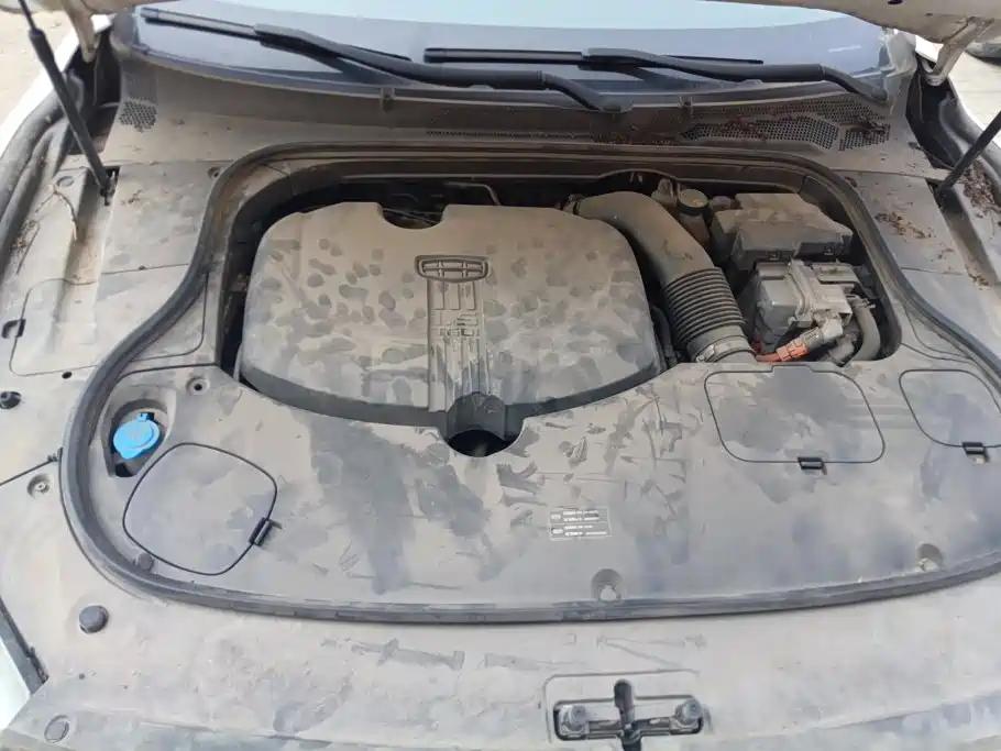 Geely Borui PHEV 2019 2018 1.5T PHEV Premium Edition