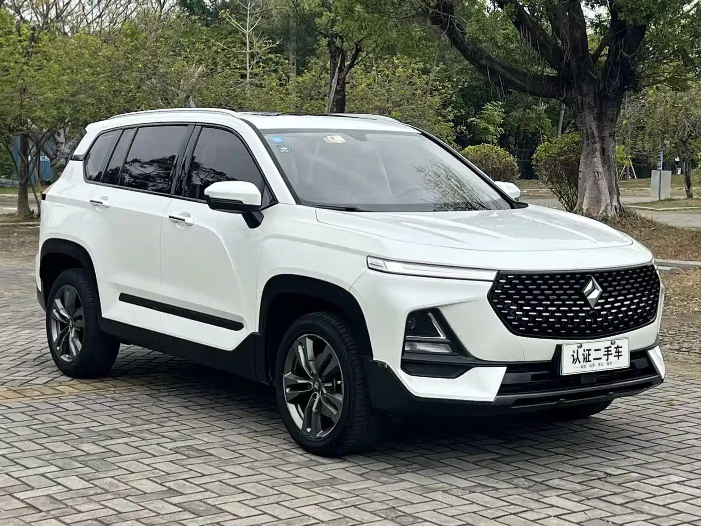 Baojun RS-5 2019 2019 1.5T CVT Intelligent Driving Luxury Edition China V