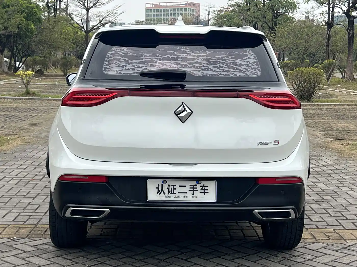 Baojun RS-5 2019 2019 1.5T CVT Intelligent Driving Luxury Edition China V