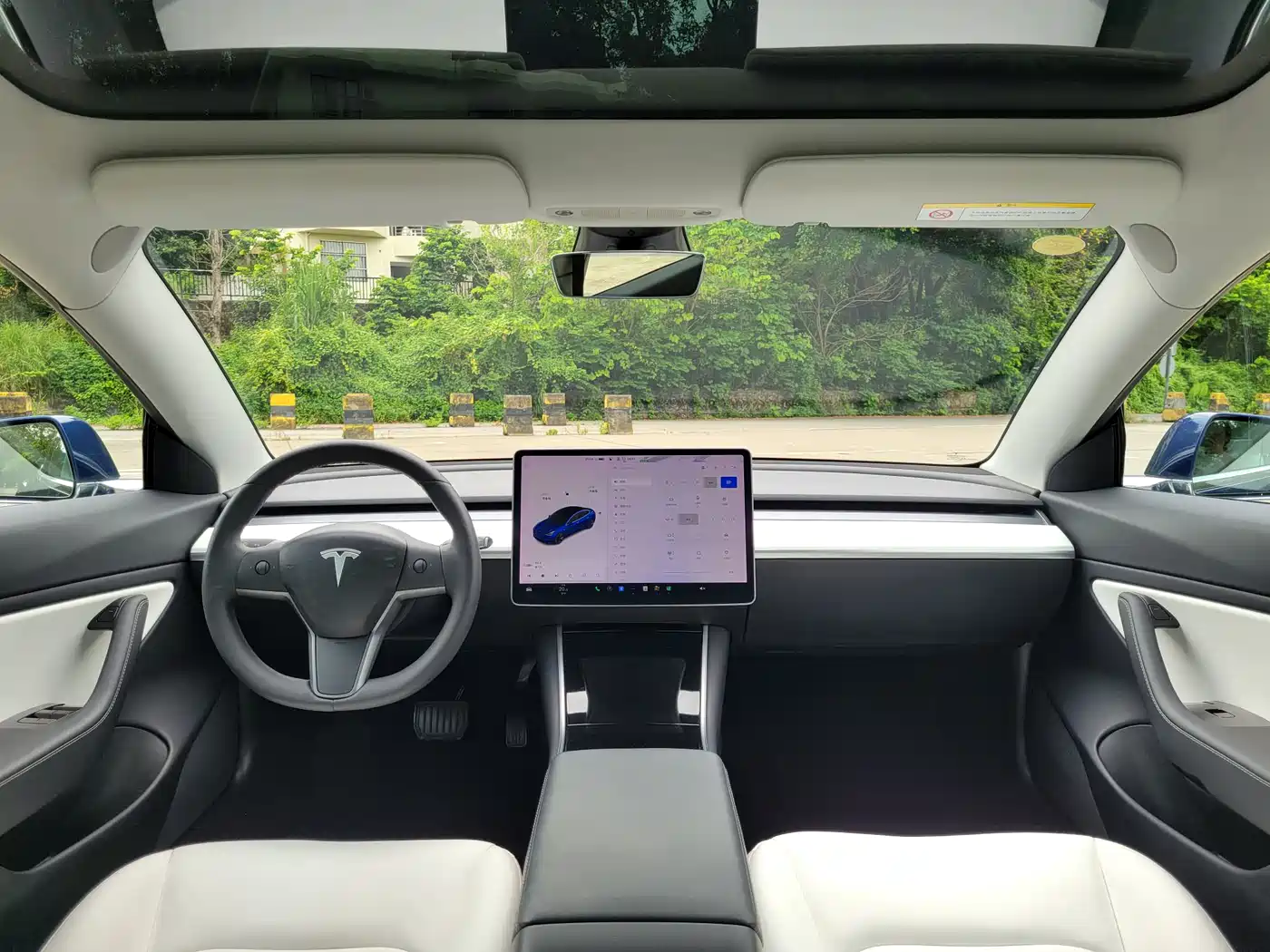 TESLA MODEL 3 (IMPORTED)
